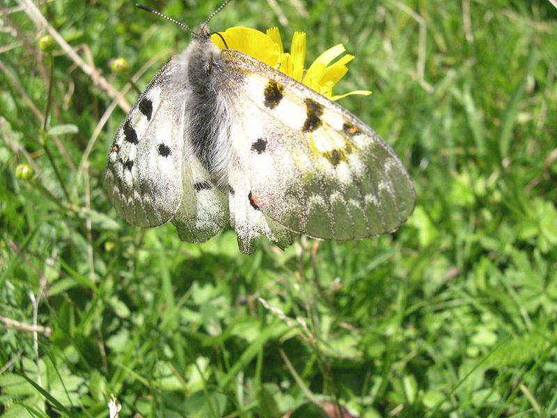 Incontri in Val Pusteria